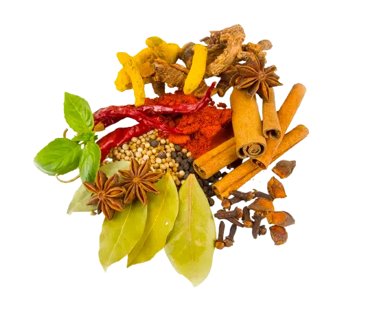 exporter of coconut and spices in indonesia